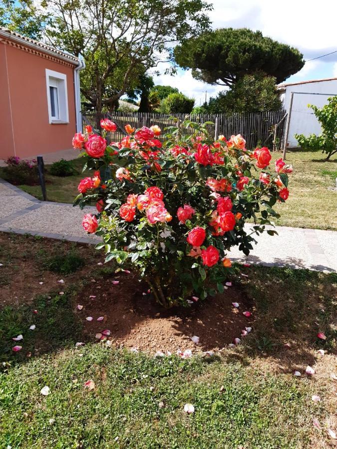 Appartement Independant A 10Min Des Plages Au Calme Proche O'Gliss Et O'Funparken Campagne La Jonchere Dış mekan fotoğraf